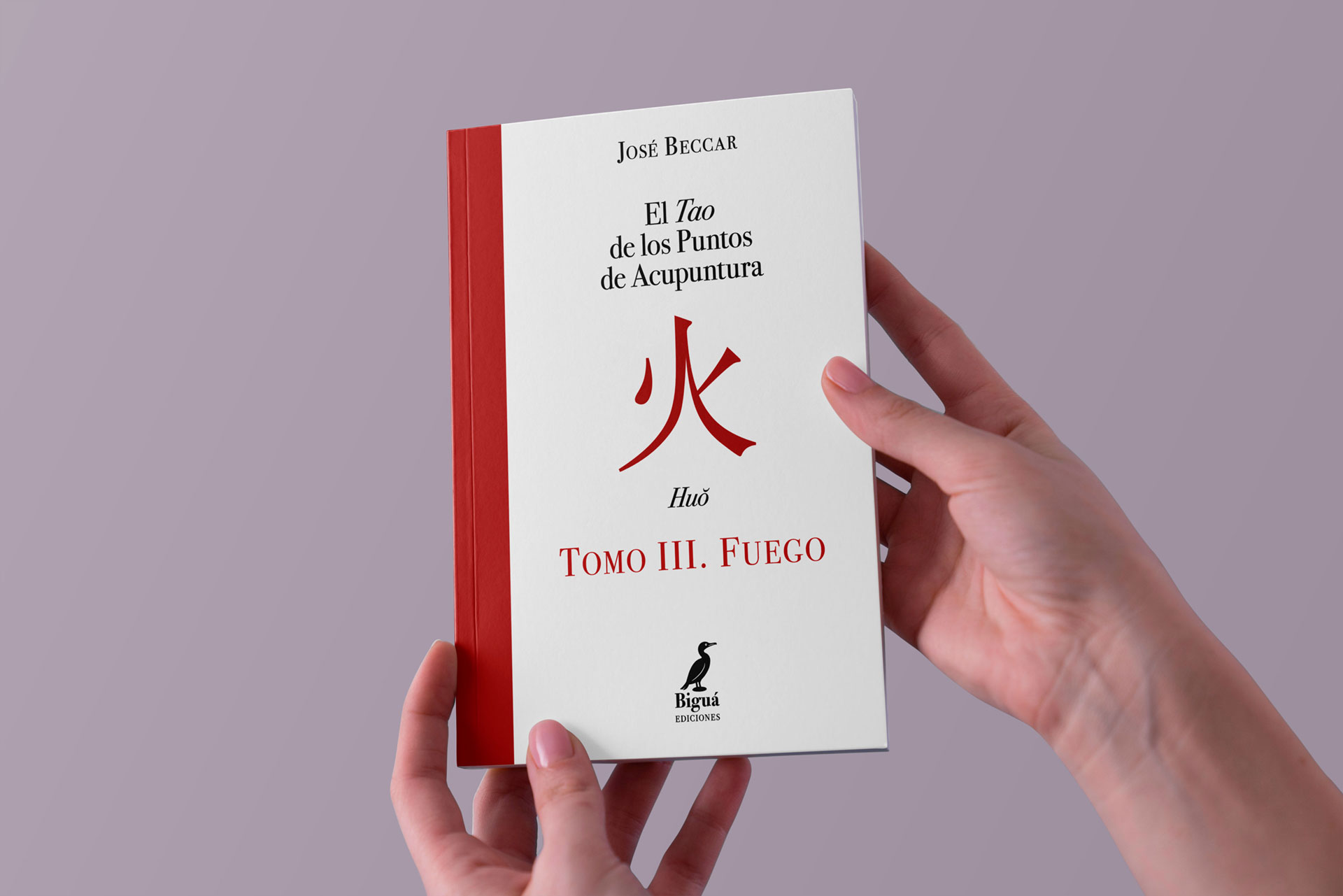 Libros especiales a medida y proyectos editoriales únicos
