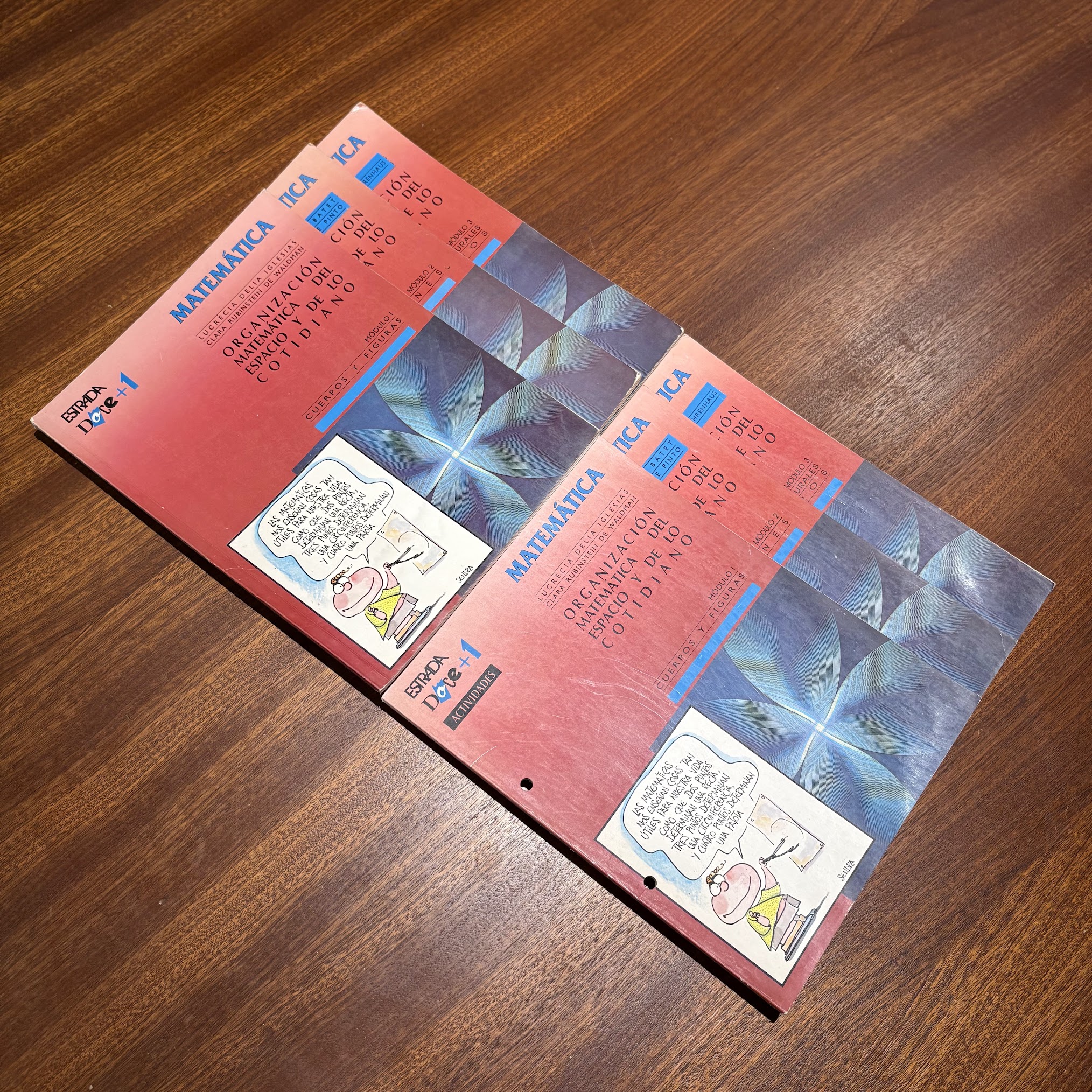 Manuales de texto – Colección Doce+1 – Matemática – Editorial Estrada – 1993